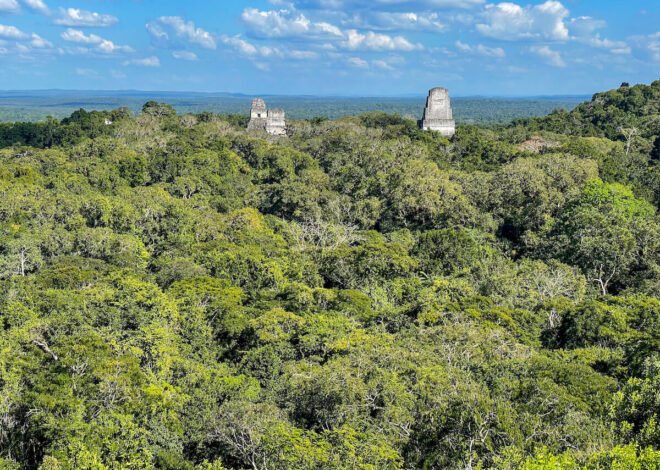 The 7 Most Recognized Pyramids Of Tikal