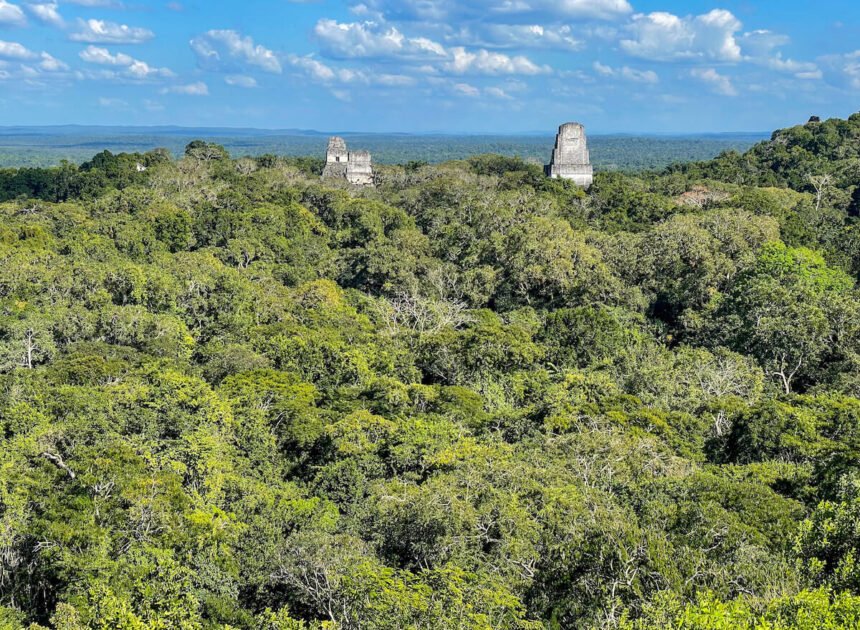 The 7 Most Recognized Pyramids Of Tikal