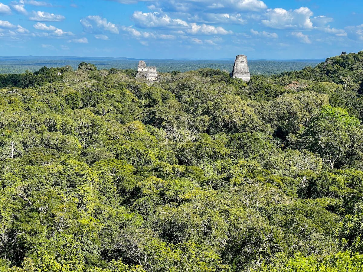 The 7 Most Recognized Pyramids Of Tikal